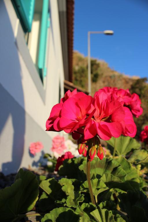Madalena do Mar Aqua Sea Houseヴィラ エクステリア 写真